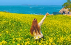 ������� ���� �� ���� �����١� �¿쿩���, ���� ���� Ʈ��ŷ ���� ��õ