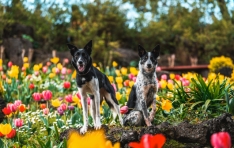 ���� ��굿��, ������ '�����' ���� ���� 50% �İ� ���� �̺�Ʈ